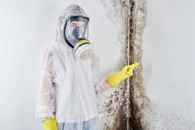 Mold Remediation for Rental Properties in Loveland, CO